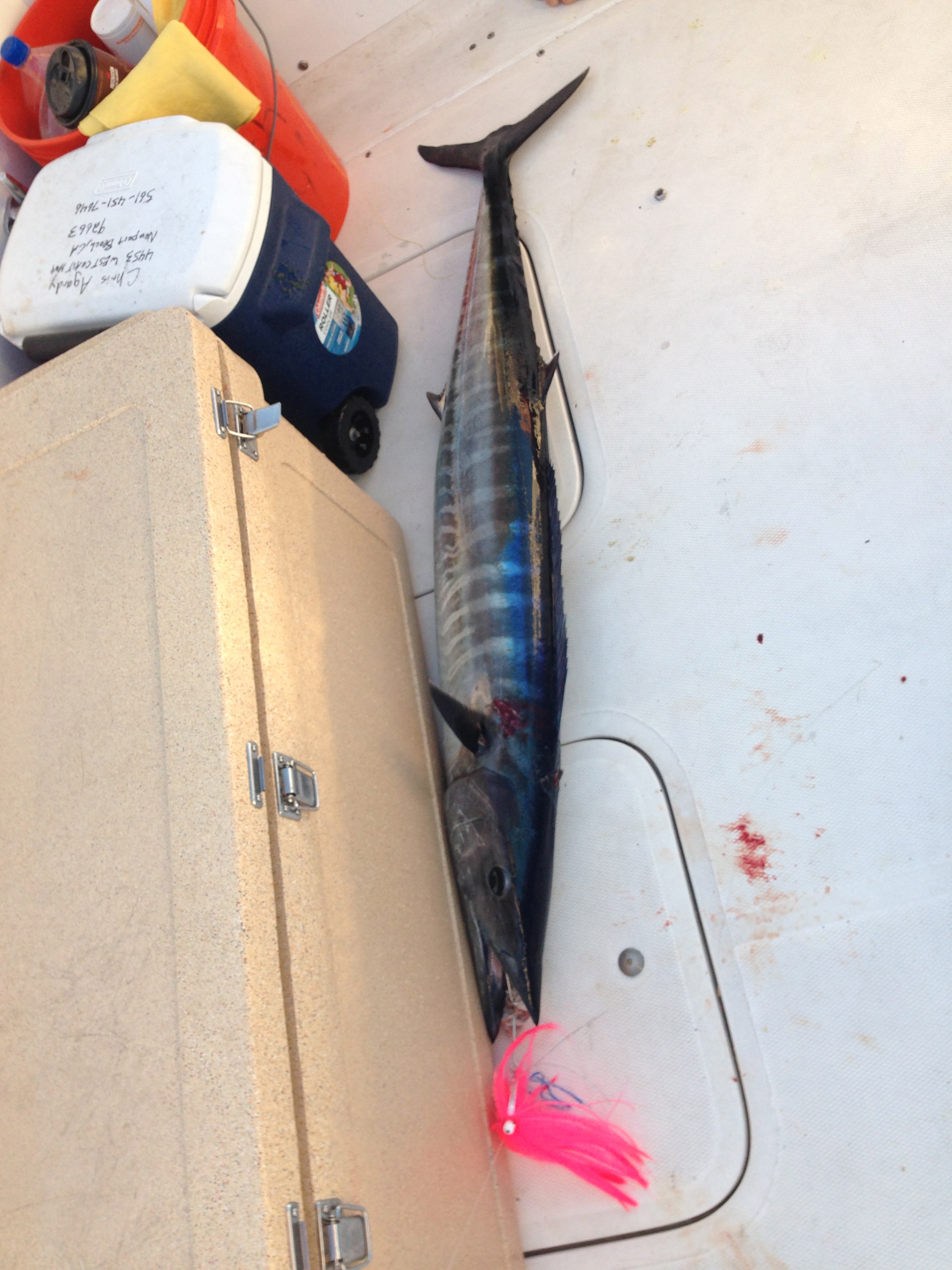 boca raton fishing charters – Fish Envy Charters